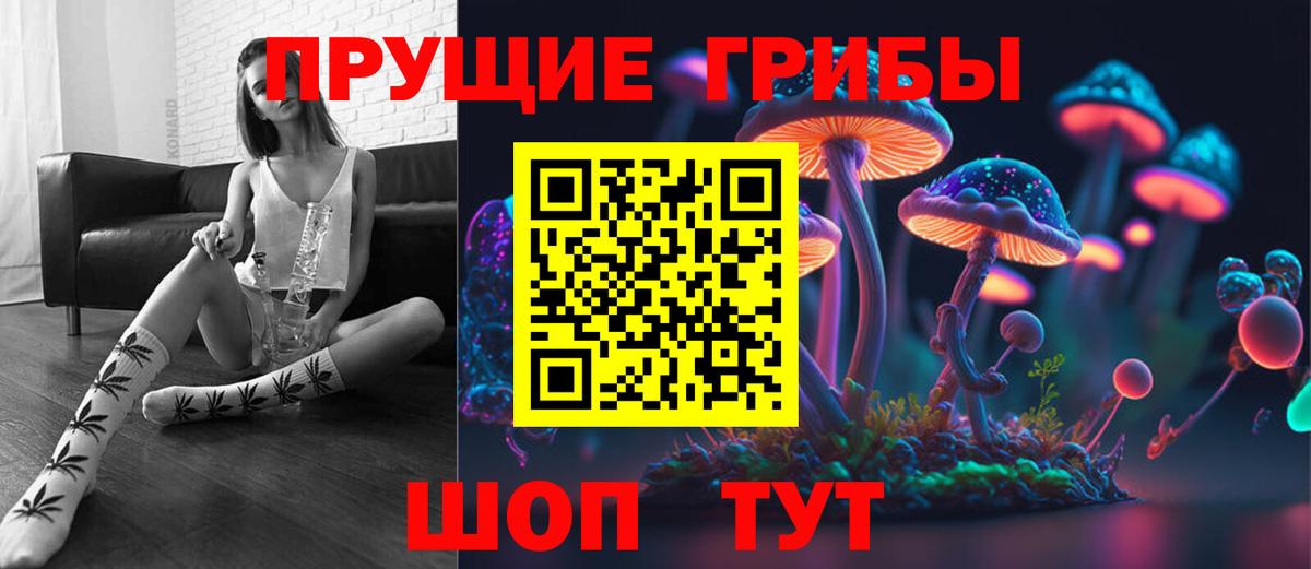 Псилоцибиновые грибы прущие грибы  хочу наркоту  Вход с VPN  Ейск  Галлюциногенные грибы GOLDEN TEACHER 